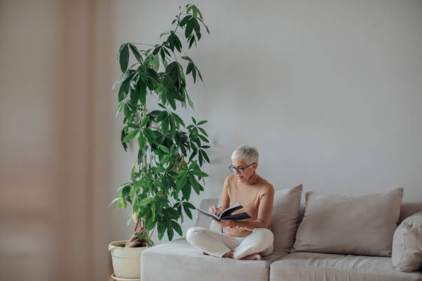 istock Pretty Senior Woman Writing on Couch 1199260489