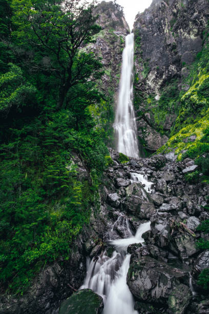 istock Beautiful waterfall, greenery nature in rainforest 1199262638