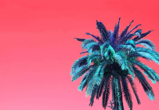 istock Pop Art Surreal Style Blue Palm Tree on Coral Pink Background with Copy Space 1199266992