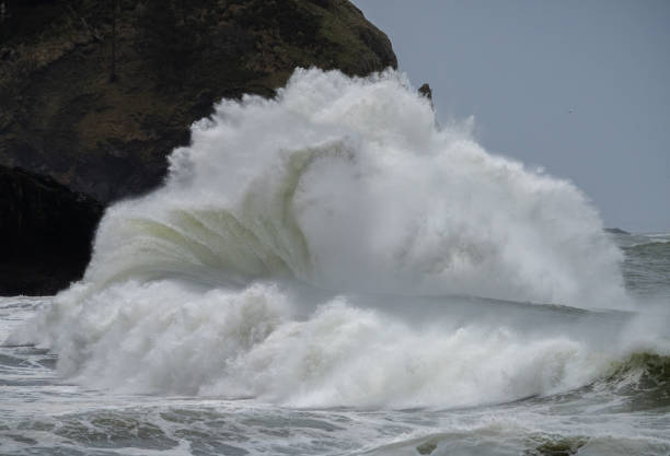 istock Pacific Ocean Waves On A Stormy Morning in January 1199267364