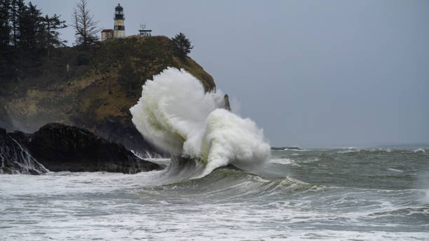 istock Pacific Ocean Waves On A Stormy Morning in January 1199267365