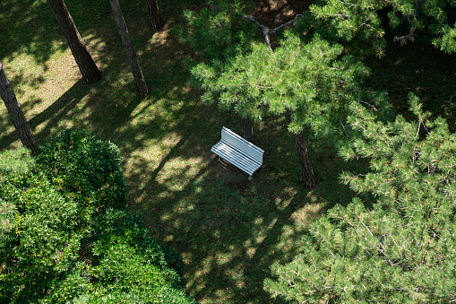 lonely white wooden bench standing in public park with top pine trees aerial drone view