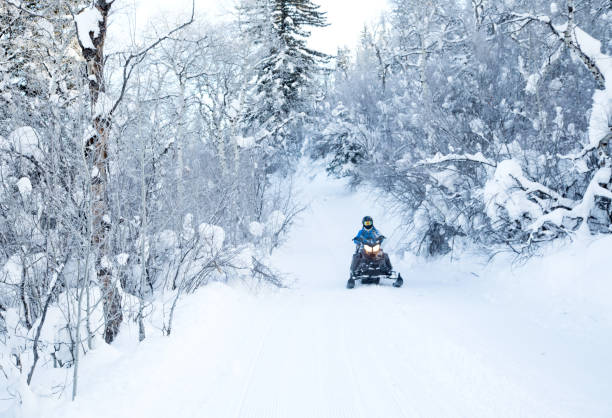 istock Driving snowmobile in Colorado 1199268785