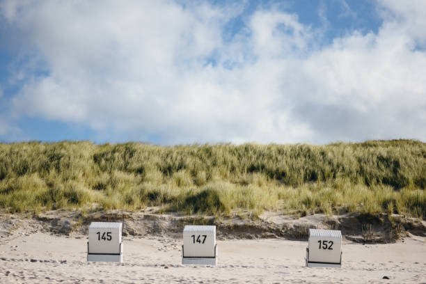 istock Beach, dune grass and beach chairs on a sunny day at Sylt, Germany 1199268939