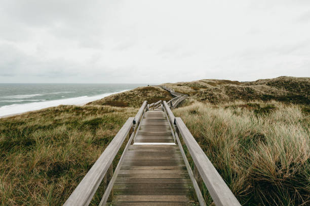 istock A wooden path trough dune grass at the coastline, Sylt, Germany 1199269057