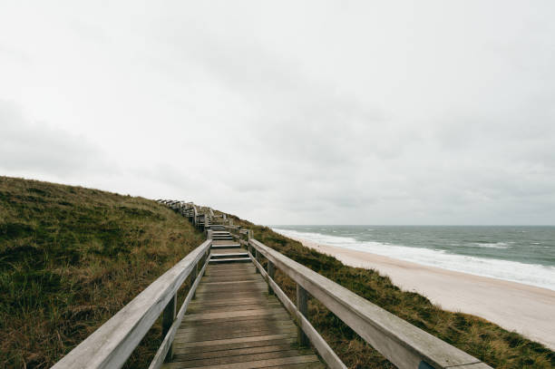 A wooden path trough dune grass at the coastline, Sylt, Germany