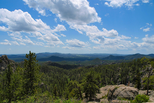 Photos of the Black Hills area in South Dakota with the Needles.