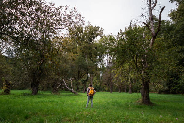istock Woman hiking in nature 1199272349