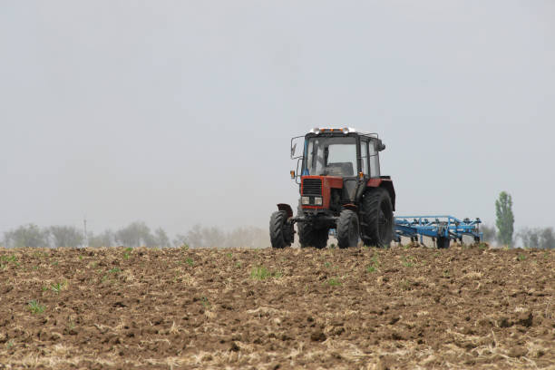 istock Tractor in the field plows the land 1199272422