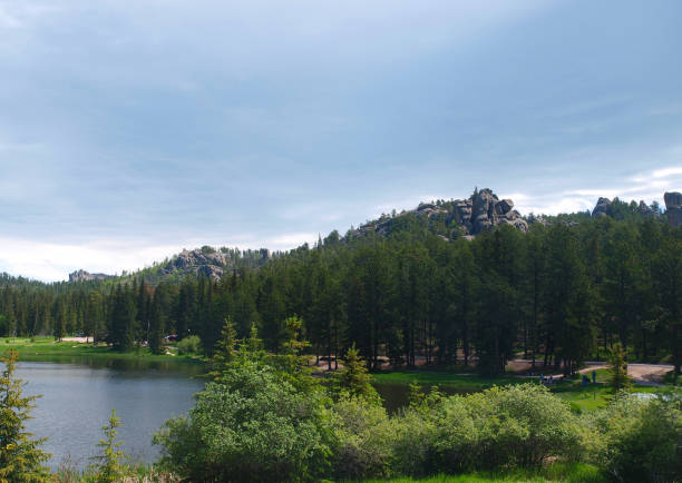 Custer State Park in South Dakota Photos of Custer State Park in South Dakota black hills national forest stock pictures, royalty-free photos & images