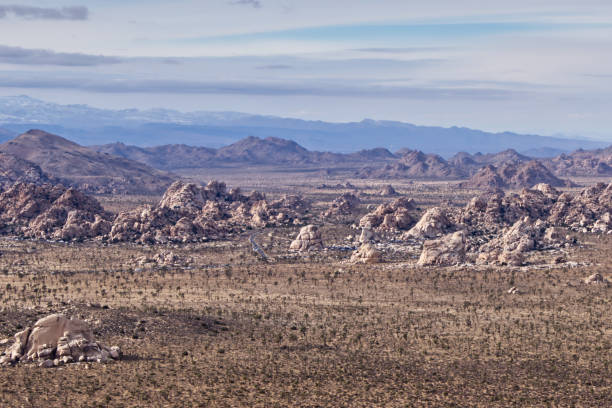 istock Joshua Tree park landscape taken from Ryan Mountain 1199274670