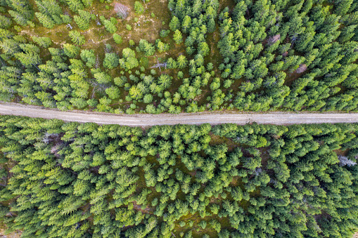 Aerial view of a country road, in a forest, photographed near Cluj, Romania