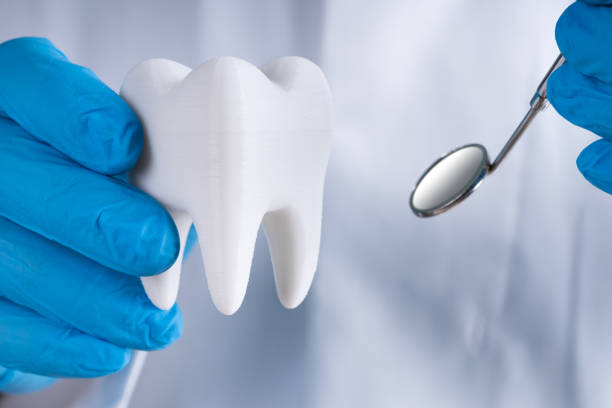 istock Dentist Holding Healthy Tooth Model 1199280019
