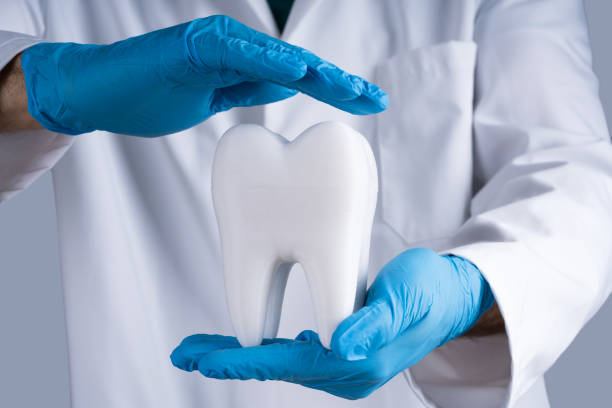 istock Dentist Protecting Healthy Tooth Model 1199280029