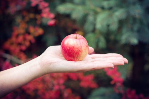 istock Female's hand holding an apple. 1199280184