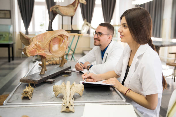 gruppe von schülern im klassenzimmer - anatomy classroom human skeleton student stock-fotos und bilder