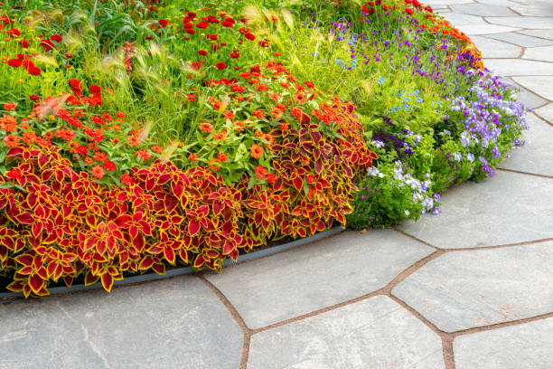 istock Lavish Flowerbeds in many colors 1199280190