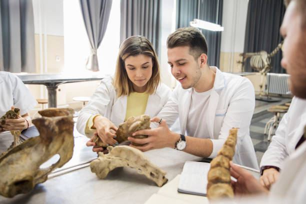 istock Group of students in classroom 1199281038
