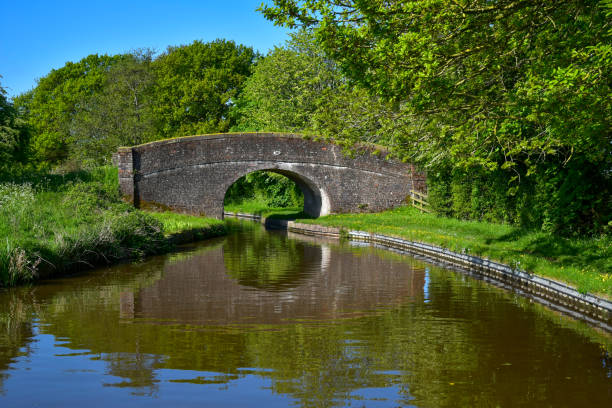 istock Bridge over the Llangollen canal 1199283455