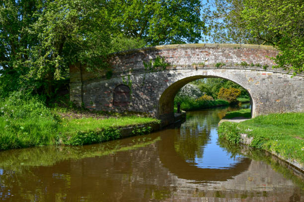istock Bridge over the Llangollen canal 1199283459
