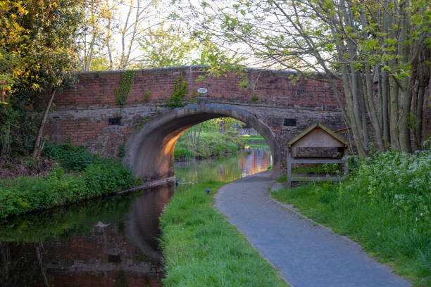 istock Bridge over the Llangollen canal 1199283520