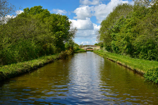 istock Bridge over the Llangollen canal 1199283599