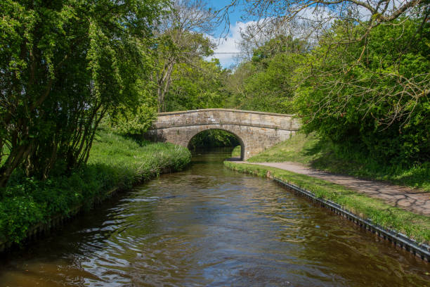 istock Bridge over the Llangollen canal 1199283619