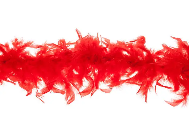 Photo of red feather boa