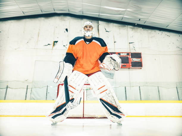 Pro Hockey goalie