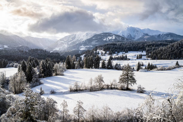 istock Snowy Landscape In Mountains 1199289157