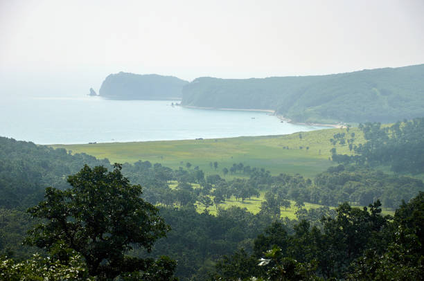 Sea bay surrounded by green hills.