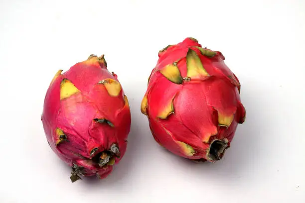 two dragonfruits in a row isolated on white background. Horizontal image. Flat lay. Image contains copy space