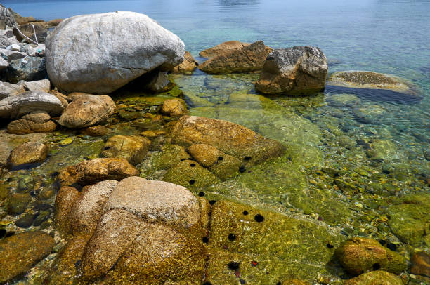 istock Sea coast with clear water. 1199293009
