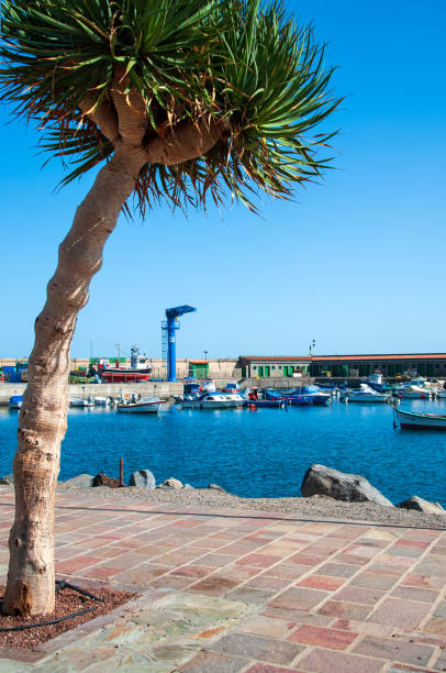 Candelaria, Tenerife, Spain - 27 December 2019,  Small port in the village Candelaria in Tenerife, Canary Island, Spain,