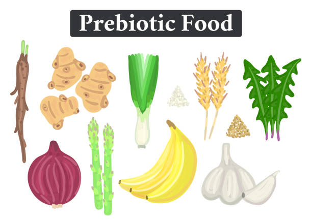 ilustraciones, imágenes clip art, dibujos animados e iconos de stock de conjunto de alimentos prebióticos. nutrición. fibras no digeribles. suplemento saludable - radicchio