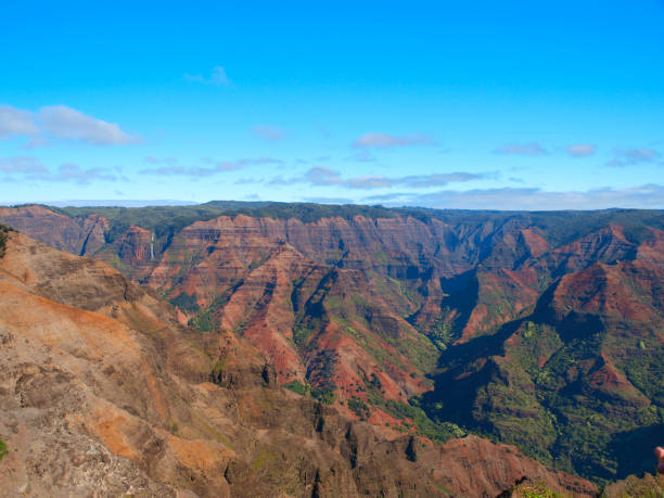 istock Waimea Canyon State Park in Hawaii 1199297857