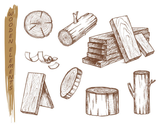 stockillustraties, clipart, cartoons en iconen met geïsoleerde schets van houten elementen, vintage timmerhout - plank timmerhout