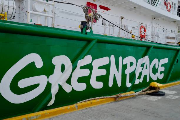 Greenpeace Seagoing Ships Ushuaia, Argentina- January 1, 2020: The MV Arctic Sunrise and the MV Esperanza moored in Ushuaia, Argentina. The Greenpeace seagoing ships are a mainstay in it's campaign to disrupt whaling, toxic dumping. and protect wildlife and ecosystem in the Antarctic. greenpeace stock pictures, royalty-free photos & images