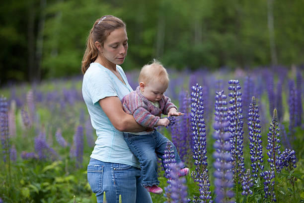 Young Mother & Daughter in Beautiful Field of Lupine Flowers stock photo