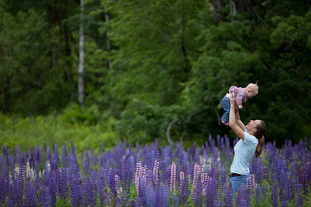 Young Mother & Daughter in Beautiful Field of Lupine Flowers stock photo