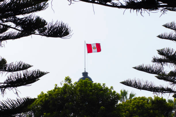 istock Flag of Peru waving between green branches overlooking the sky 1199305104