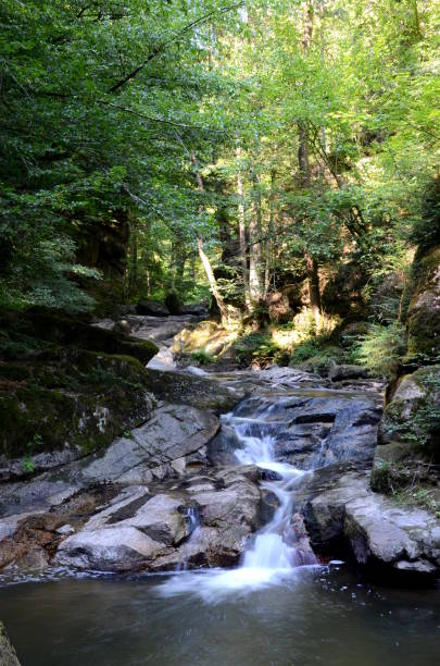 istock Pesenbachtal in Upper Austria 1199305175