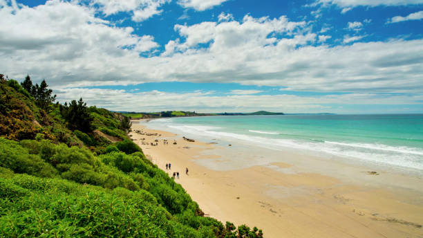 istock Wide sandy beach near the ocean 1199309041