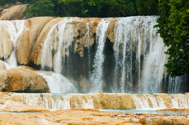 istock Agua Azul waterfall in Mexico 1199309653