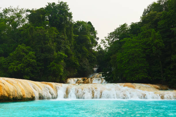 istock Agua Azul waterfall in Mexico 1199309701