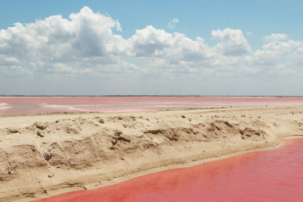 istock Real pink salt lake 1199310146