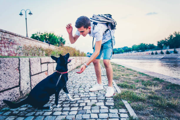 istock Young man playing with his dog 1199310174