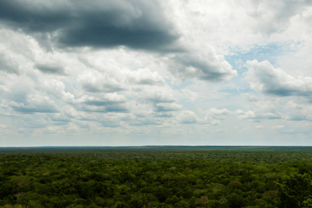 istock Aerial view on the green rainforest 1199310552