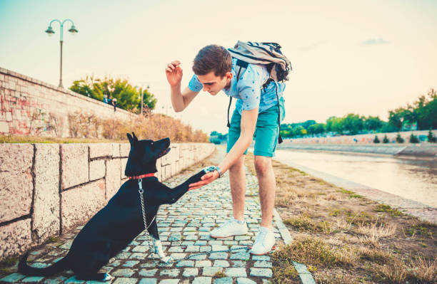 istock Young man with his dog 1199310579