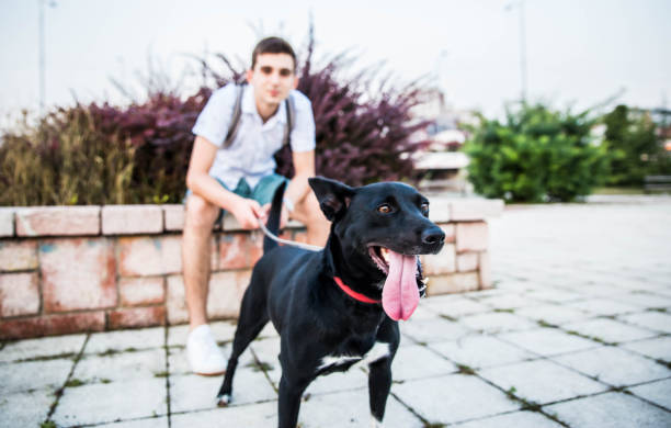 istock Man enjoys spending time together with his dog 1199311379
